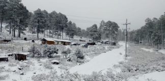 Tercera tormenta invernal deja imágenes IMPACTANTES en Chihuahua y Durango; TODO se cubrió de NIEVE