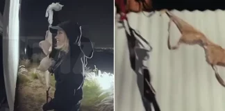 Actriz Sydney Sweeney en polémica por escalar letrero de Hollywood en grabación de lencería: ¿presentarán cargos por vandalismo?