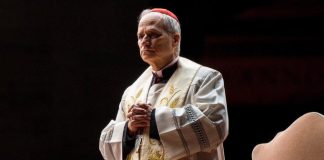 El Papa León XIV alerta sobre los peligros de la inteligencia artificial