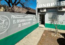 Creará ONAPAFA padrón de chuecos contra decomisos