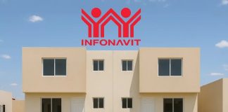 ¿Cómo son las casas de Vivienda para el Bienestar de Infonavit? Éstas son todas las habitaciones que tienen | FOTOS