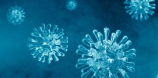 Fármaco anti-covid muestra eficacia contra el virus Nipah