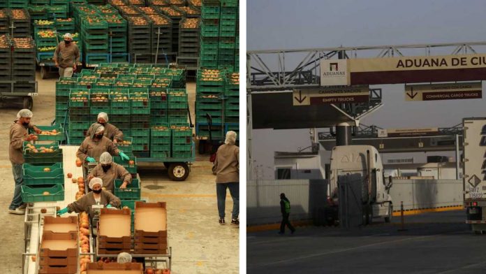 Aranceles no frenaron comercio de México; superávit creció: Moody’s