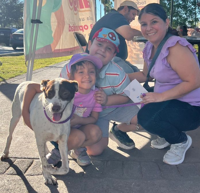 Y ADOPCIÓN CANINA