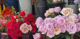 Flores suben hasta 18% este 2026: cuáles son las favoritas y las que conviene evitar este 14 de febrero