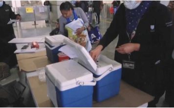 Rodeado de estados con sarampión, Tamaulipas se mantiene libre de la enfermedad