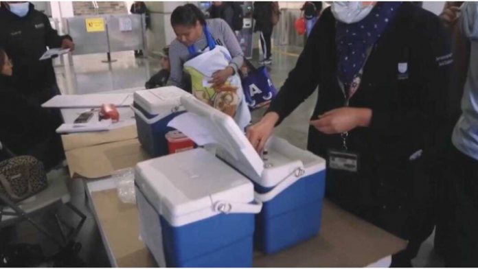 whatsapp-image-2026-02-13-at-12.03.06-pm-1-135659