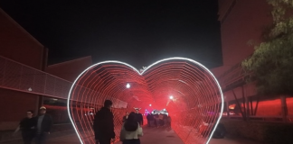 Amar y ser amado, el escudo para vivir más; remedios para el corazón