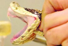 Piden esclarecer actuación médica tras muerte de niña por presunto error en antídoto