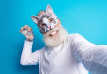 “Ser therian no es un trastorno”, explica psicóloga sobre jóvenes que se identifican con animales