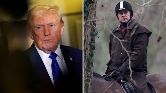 proyecto-nuevo-49-160005