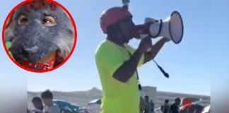 VIDEO: Salvavidas pide que therians entren a la playa amarrados y con bozal
