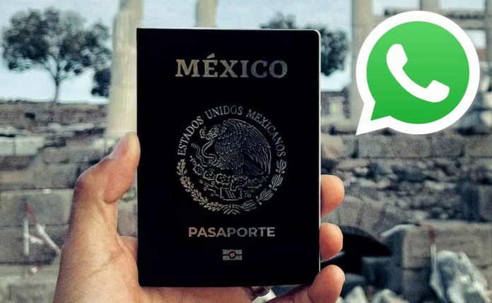 Y WHATSAPP