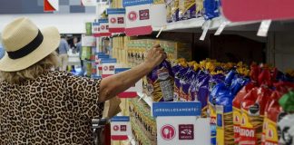 PIB crece 4.6% en tercer trimestre del 2025: servicios concentran casi dos tercios de la economía