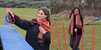 ¿Qué es el “Hobby Dogging”, nueva tendencia viral que está causando revuelo en redes?; aquí te lo decimos