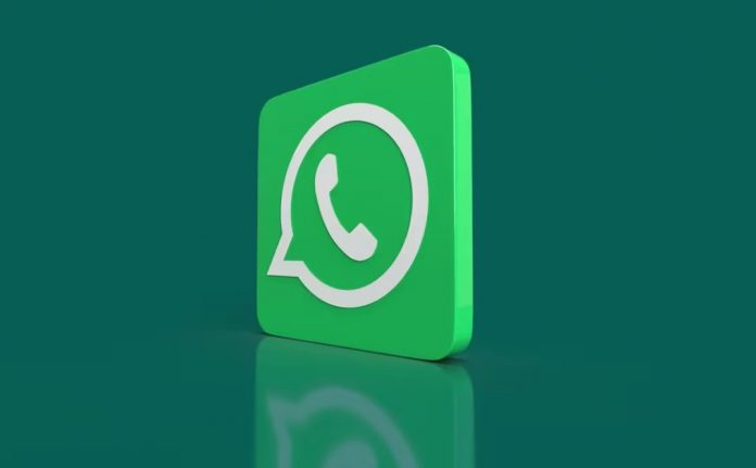Y WHATSAPP