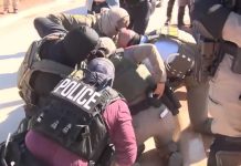 ¿Eran todos “criminales”? Más de un tercio de los detenidos por ICE, sin antecedentes