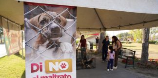 Invita gobierno municipal a dar hogar a perros y gatos rescatados en Feria de Adopciones
