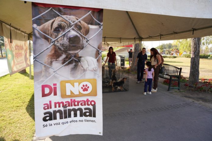 Invita gobierno municipal a dar hogar a perros y gatos rescatados en Feria de Adopciones