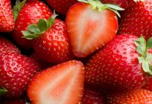 Profeco comparte el truco para conservar fresas frescas por más tiempo en casa