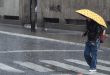 México bajo la cuarta tormenta invernal: lluvias intensas y nevadas este lunes en estos estados