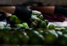 Se encarece la mesa: inflación repunta a 4.02% y estos alimentos lideran las alzas