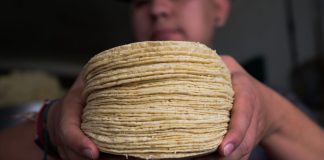 Alertan por tortillas pirata: cómo identificarlas y qué pasa si las comes