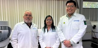 Polvo en Coahuila revela metales tóxicos, alertan investigadores estudio