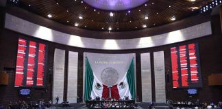 PVEM analiza cambios a leyes secundarias tras reunión en Palacio Nacional