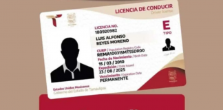 ¿Cuál es el costo de la licencia de aprendiz para manejar en Tamaulipas?