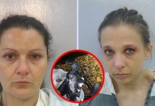 Mujeres disfrazan drones de pájaros para poder traficar productos en una cárcel de máxima seguridad