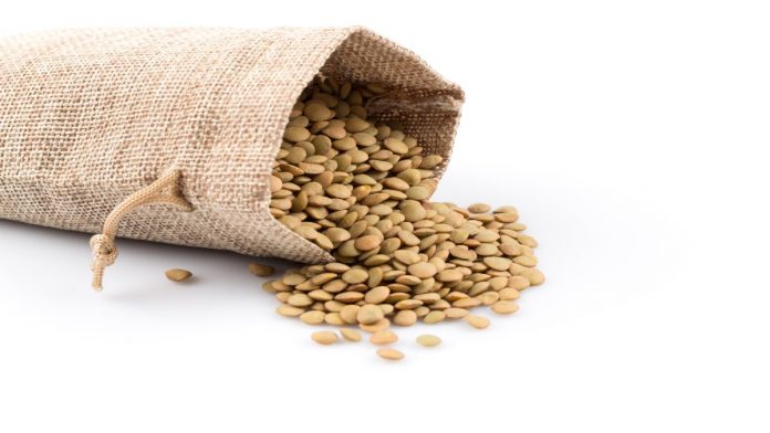 French green lentils (lentilles du Puy) in a burlap bag on a white background