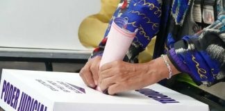 Senadores de Morena defienden la presencia de Sheinbaum en las boletas de 2027, aliados lo ven innecesario