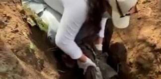 Destruyen fichas de desaparecidos en Guadalajara, mientras cerca del Estadio Akron han hallado 250 bolsas con restos
