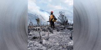 Apagan totalmente incendio forestal