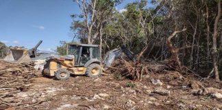 Explosivos y maquinaria pesada en Tren Maya