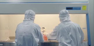 Adiós a la insulina: científicos logran restaurar el páncreas en pacientes con diabetes tipo 1
