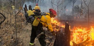 Incendio en el Bosque de la Primavera de Tlajomulco, Jalisco, deja 224 hectáreas afectadas