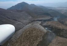 Registran nueve incendios forestales: dañan 900 hectáreas