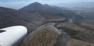 Registran nueve incendios forestales: dañan 900 hectáreas