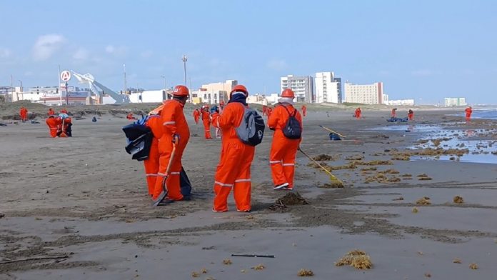 fauna-pesca-y-salud-en-peligro-tras-derrame-petrolero-que-afecta-630-km-en-el-golfo-de-mexico-133907
