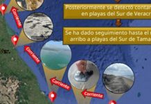 Derrame en el Golfo de México no estaría ligado a Dos Bocas; analizan falla en plataforma petrolera