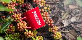 Qué es Plan Nescafé, la iniciativa global que aparece en Doménica Montero