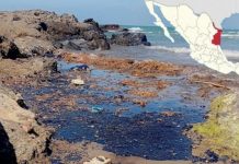 Vigilan costas de Tamaulipas con recorridos marítimos, aéreos y terrestres sin detectar rastros de hidrocarburo