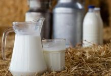 Brote de E. coli deja nueve enfermos en California, relacionan intoxicación con leche bronca y queso cheddar