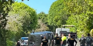 Tiger Woods fue arrestado por sospecha de conducir bajo efectos del alcohol tras volcar