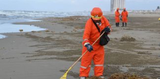 Greenpeace pide fotos del derrame en el Golfo de México; buscan evidenciar daños
