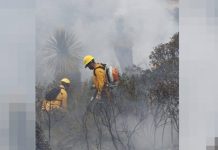 Controlado 100% incendio forestal en Miquihuana