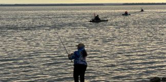 Saldo blanco a especies y a pescadores de Tamaulipas por derrame de crudo