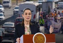 Sheinbaum garantiza diálogo abierto para agricultores con apoyo directo a productores